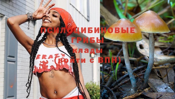 скорость Баксан